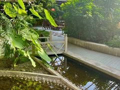 -红栌温泉山庄生态美食餐厅