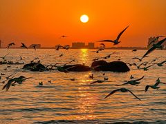 -老虎石海上公园