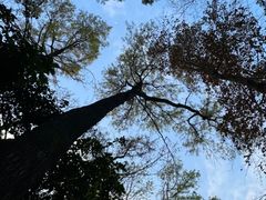 -广州市白云山风景名胜区