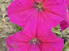 -苏州河梦清园环保主题公园