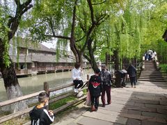 -乌镇东栅景区