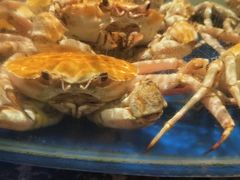 -海景壹号大酒店(滨湖店)