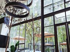 -桉树林A coffee 森林餐厅(三圣乡店)