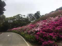 -广州市石门国家森林公园