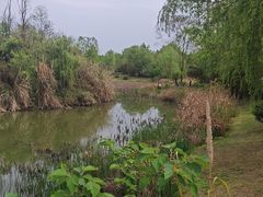 -白鹭湾湿地公园