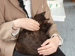 -喵屿·大理花园猫咖