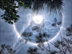 -国际邮轮中心码头(厦鼓码头)