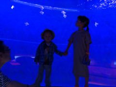 -沈阳海洋探索中心