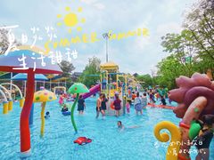 -苏州乐园森林水世界