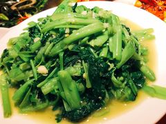 -杨氏青龙虾·羊蝎子(托乐嘉店)
