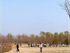 -爪吧宠物乐园·宠物泳池(温榆河示范区店)