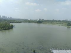 -两淮一绝鸡丝辣汤(交通路店)