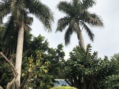 -白鹭洲公园