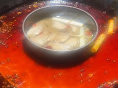-陈眼镜火锅(总店)