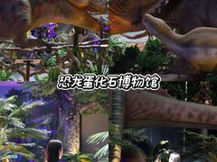 -中国西峡恐龙遗迹园