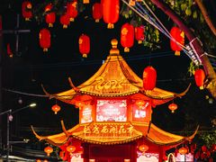 -越秀西湖花市(广州城市广场花卉店)