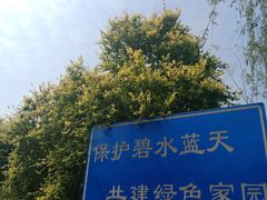 -绿堤公园