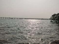 -宝安西湾红树林湿地公园