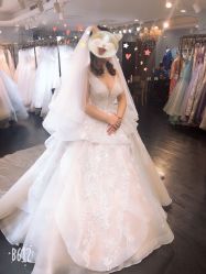 -艾慕婚纱礼服馆(和平店)
