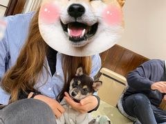 -逗柴咖啡屋·狗咖猫咖宠物桌游