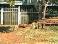 -昆明动物园