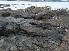 -黑石礁公园