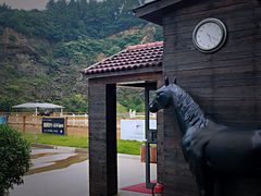 -枫露马术学院(藏书校区)