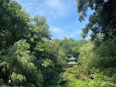 -岳麓山风景名胜区