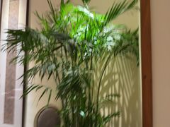 -瑶王府·广西菜(金阳路店)
