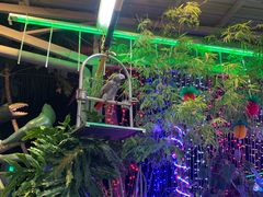 门面-無招牌海鮮(芽笼店)