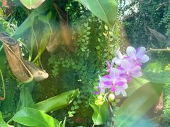 -国家植物园南园