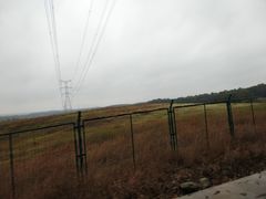 -大柳草原