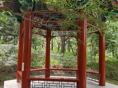 -北坞公园