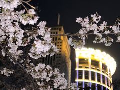 -西北湖绿化广场