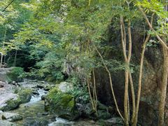 -牛背梁国家森林公园