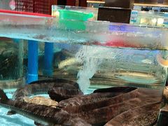 -阿伟海鲜楼·福建菜(延寿店)