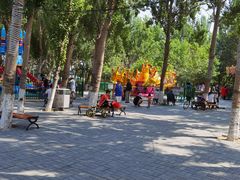 -长白岛森林公园