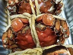 -阳澄湖大闸蟹·琼灵阁牌品牌连锁(吴中总店)