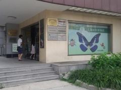-上海昆虫博物馆