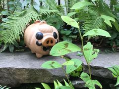 -三鹰之森吉卜力美术馆