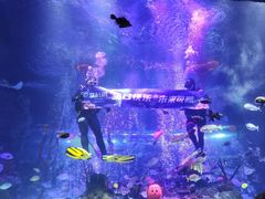 -沈阳海洋探索中心