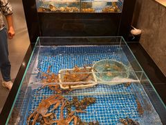 -江户前日本料理(瑞诗酒店店)