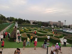 -莫子山公园