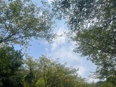 -千岛湖天屿景区