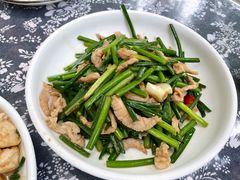 -遇龙河大樟树农家乐