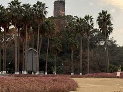 -江心屿景区
