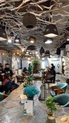 -MT·ID 烫发.染发.接发SALON