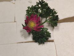 -海底捞火锅(公益西桥店)