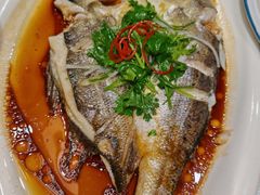 -不倒翁·安徽名菜楼(步行街店)