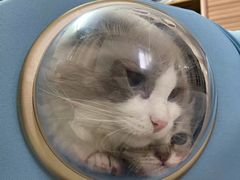 -良伴无忧宠物医院(泰欣嘉园店)